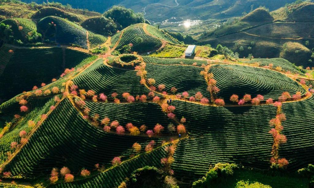 Sapa Dao Homestay Екстер'єр фото