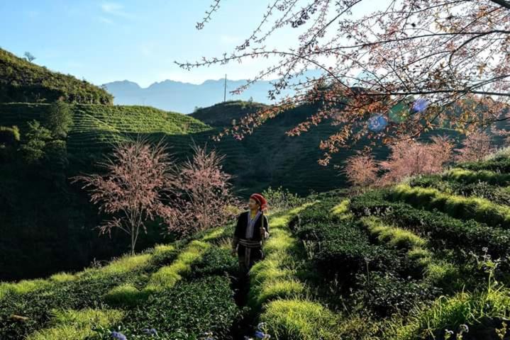 Sapa Dao Homestay Екстер'єр фото
