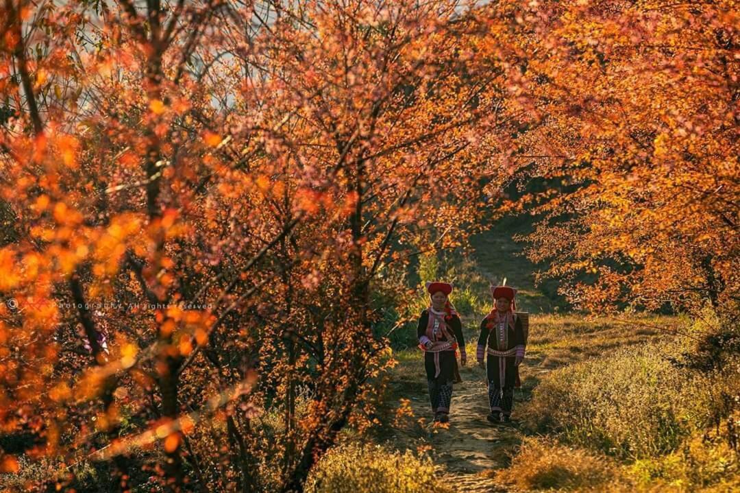 Sapa Dao Homestay Екстер'єр фото