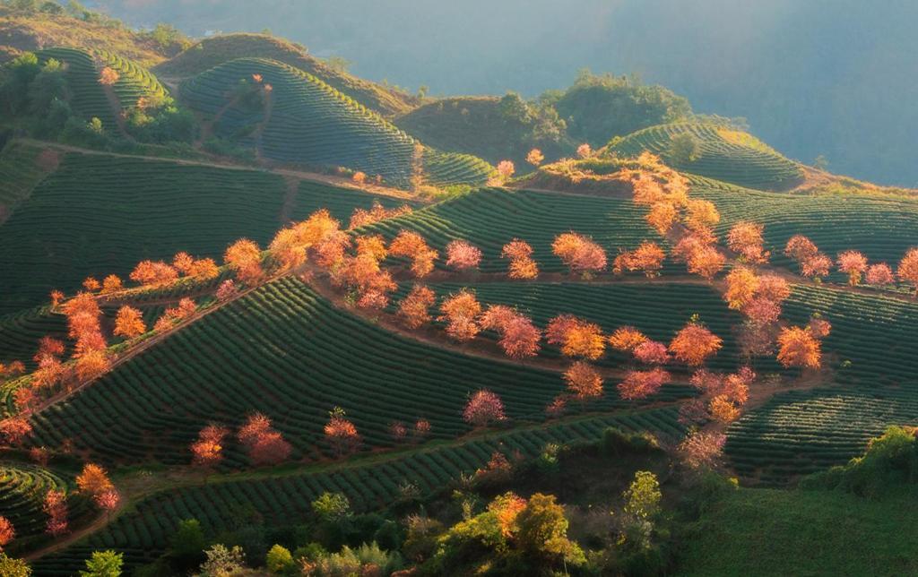 Sapa Dao Homestay Екстер'єр фото