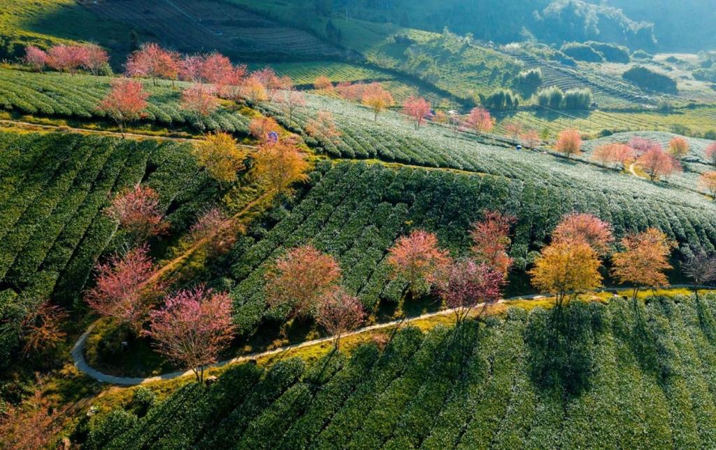 Sapa Dao Homestay Екстер'єр фото
