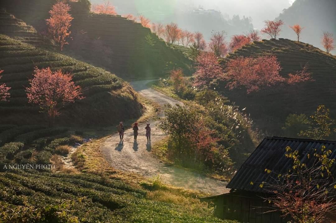 Sapa Dao Homestay Екстер'єр фото